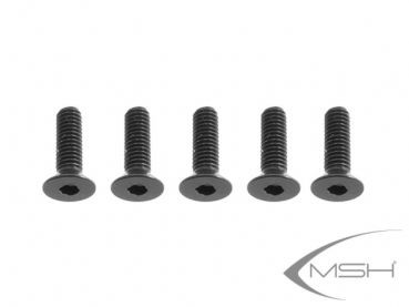 Hex screw M3*10
