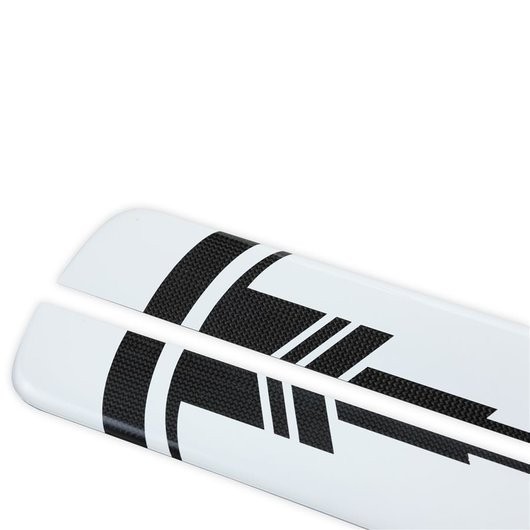 Black Belt 685