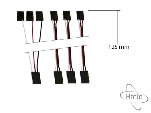 MSH Brain 125mm Adapter Cables – RB1-RC, by Raquel Bellot